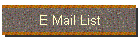 E Mail List