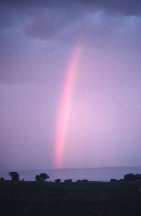 rainbow picture